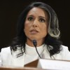 Tulsi Gabbard