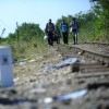 migranti