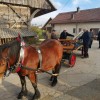 stoletnica__018.jpg