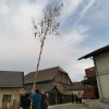 stoletnica__029.jpg