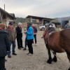 stoletnica__031.jpg