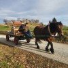 stoletnica__006.jpg