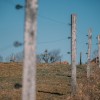 pastir, simbolična, ograda, ograja, električni