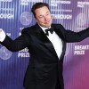 elon musk.jpg