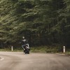 motorist.jpg