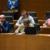 levica, parlament.jpg