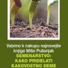 miša.png
