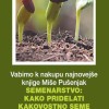 miša.png