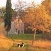 istrski-jesenski-sarm-labin-in-rabac-1r_1115x560_acf_cropped.jpg