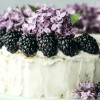 torta-1_1115x560_acf_cropped.png