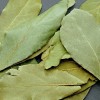lovorov-list-scaled_1115x560_acf_cropped-1.jpg