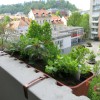 Urbani naslovna-apr22.JPG