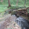biolinarna, iztok, onesnaženje