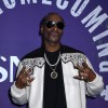Snoop Dogg - Snoop Dogg se je ponudil, da bi pomagal princema, da spet postaneta prava brata.
