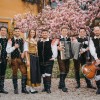 saso-avsenik