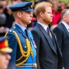 Princ William, Princ Harry (2).jpg