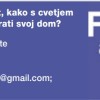 sabina šegula potrebujete nasvet.jpg