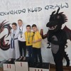 shony-team