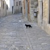 motovun