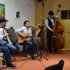 drugacni-konji, pesniska-zbirka, alojz-sraka, volosov-hram