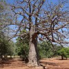 togo, afrika, potopis