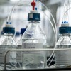 temeljni-kamen-lek-lendava, sandoz, laboratorij-kontrolo-kakovosti, simbolična, farmacija