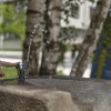 Pitnik foto Andraž Roškar KPV.jpg