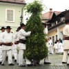 mladi_bosonogi_jurij_se_skriva_pod_snopom_brezovih_vej.jpg