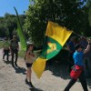 javorovica, 1-maj