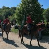javorovica, 1-maj