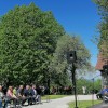 javorovica, 1-maj