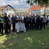pecarovci, sajenje-cepica