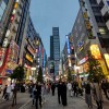 nika-grizila, japonska
