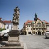 Splet Mesto Ptuj.jpeg