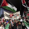 Evrovizija, palestina, protestniki