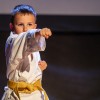 50-let-karateja-v-murski-soboti, karate
