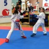 karate, kk-brezice