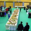cg_pogostitve_1-velika.jpg