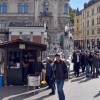 kostanj utica ljubljana.jpg
