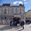 kostanj utica ljubljana.jpg