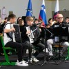 glasbena-sola, crnomelj, koncert