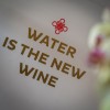 cana-water-shop, specializirana-trgovina, niko-huber