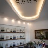 cana-water-shop, specializirana-trgovina, niko-huber