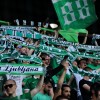 nk olimpija, green dragons