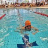 sd-plavalcek, zadar-open-2025, paraplavanje