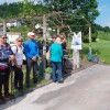 td-trzisce, pohod-azaleja-vrhek