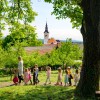 cebele, med, semic, svetovni-dan-cebel