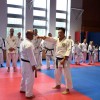 gashhuko-2025, karate