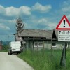 potepuski-psi, sentjernej