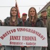53-teden-cvicka, vinogradniska-povorka
